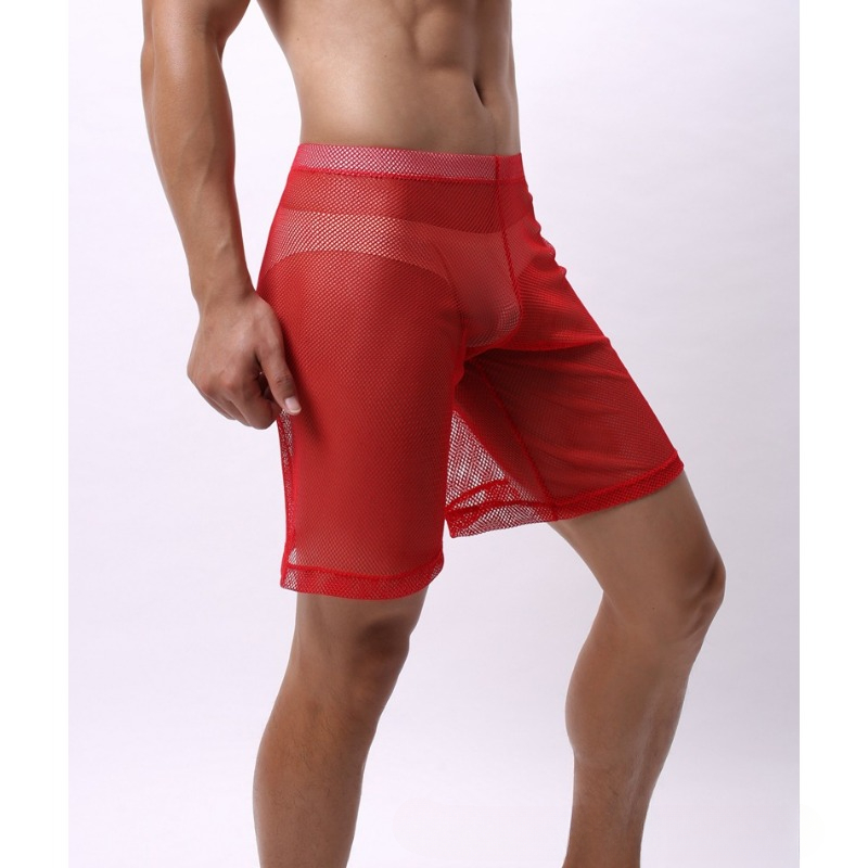 Men's 5 Pack Polyester Underwe - Multi Pack Underwear ulasan dan harga