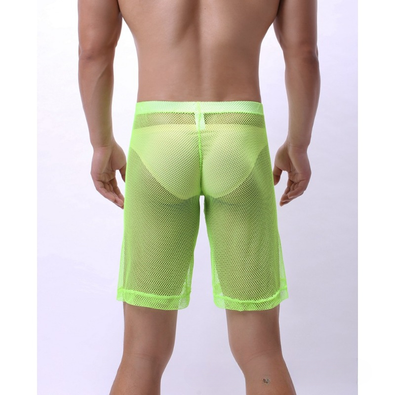 Men's 5 Pack Polyester Underwe - Multi Pack Underwear ulasan dan harga